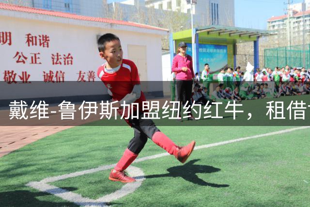 戴维-鲁伊斯加盟纽约红牛，租借协议包含买断条款